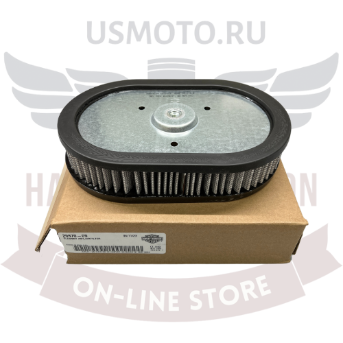 Фильтр воздушный Harley-Davidson 29670-09 (сменный элемент)