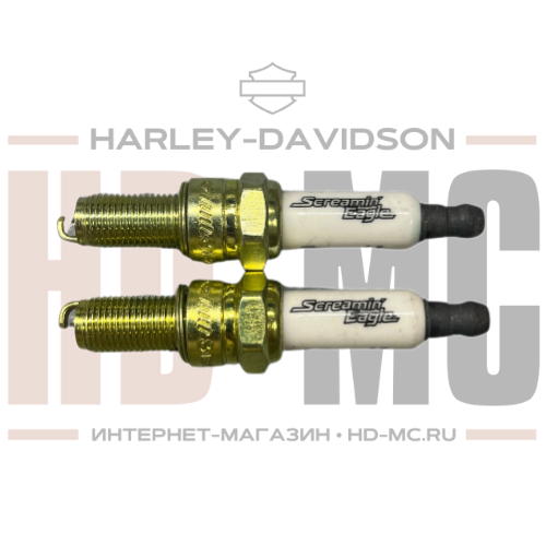 Комплект свечей зажигания Screamin' Eagle 31600085