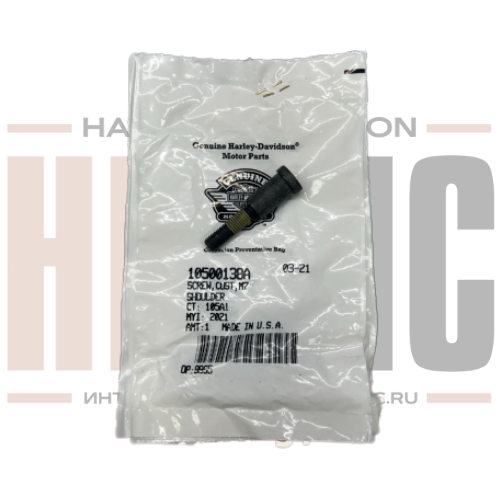Болт успокоителя цепи ГРМ Harley-Davidson 10500138A