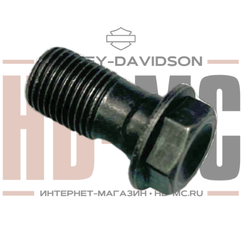 Болт суппорта с шестигранной головкой 16мм Harley-Davidson 41750-06B