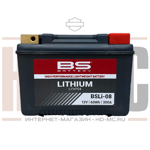 Timer Cover Harley-Davidson Switchback 25600165