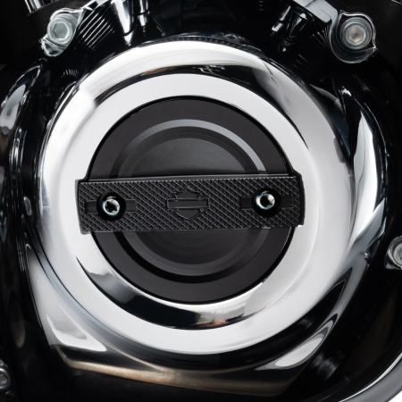 Timer Cover Harley-Davidson Switchback 25600165