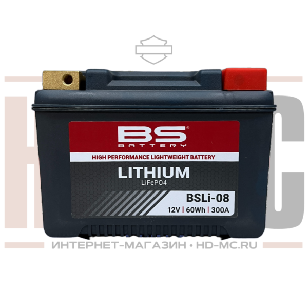 Timer Cover Harley-Davidson Switchback 25600165